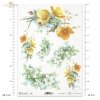kaczeńce, jaśmin, kwiat, ogród, łąka, wiosna, R961, jasmine, flower, garden, meadow, spring, Jasmin, Blume, Garten, Wiese, Frühling, jazmín, flor, jardín, prado, primavera